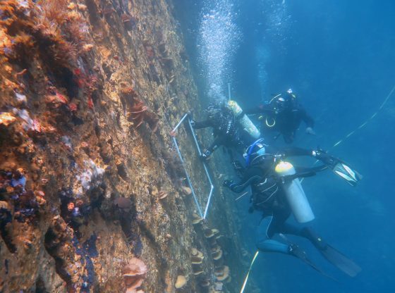 Students study the Galapagos
