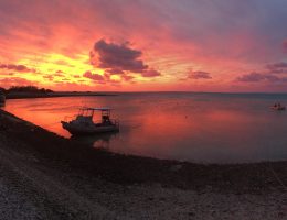 Sunset at One Tree Island, southern GBR