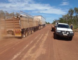 On the 2 day drive to Weipa to catch jellyfish